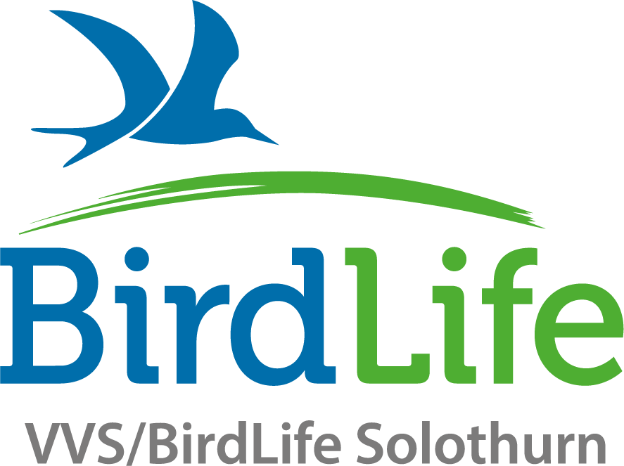 Logo VVS/BirdLife Solothurn