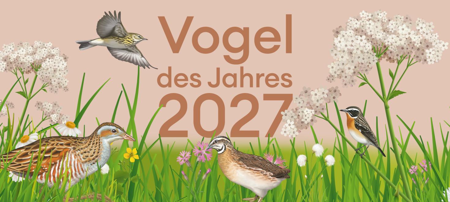 Vogel des Jahres